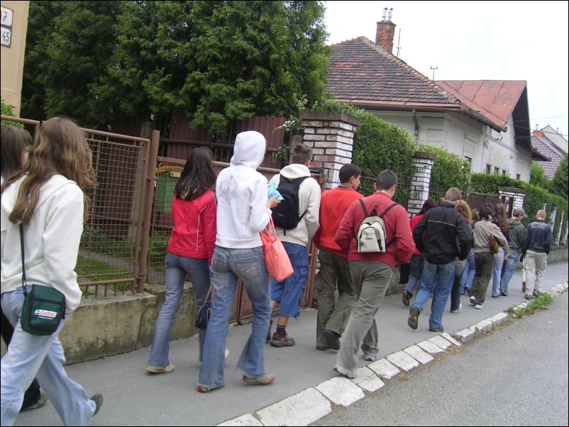 PICT8071